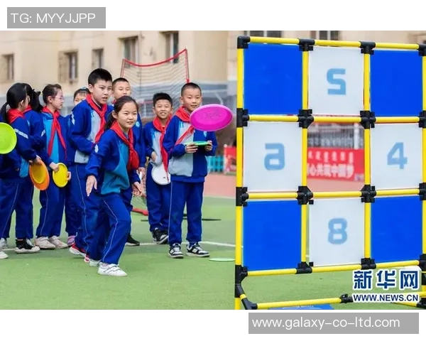 张伟独家分享飞盘技巧与心得体会助你轻松掌握这项运动的乐趣与魅力