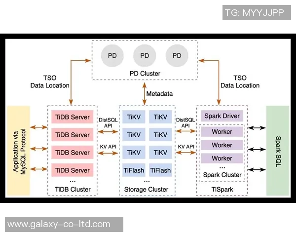 深入解析上海足球队的实力表现与数据分析结果探讨